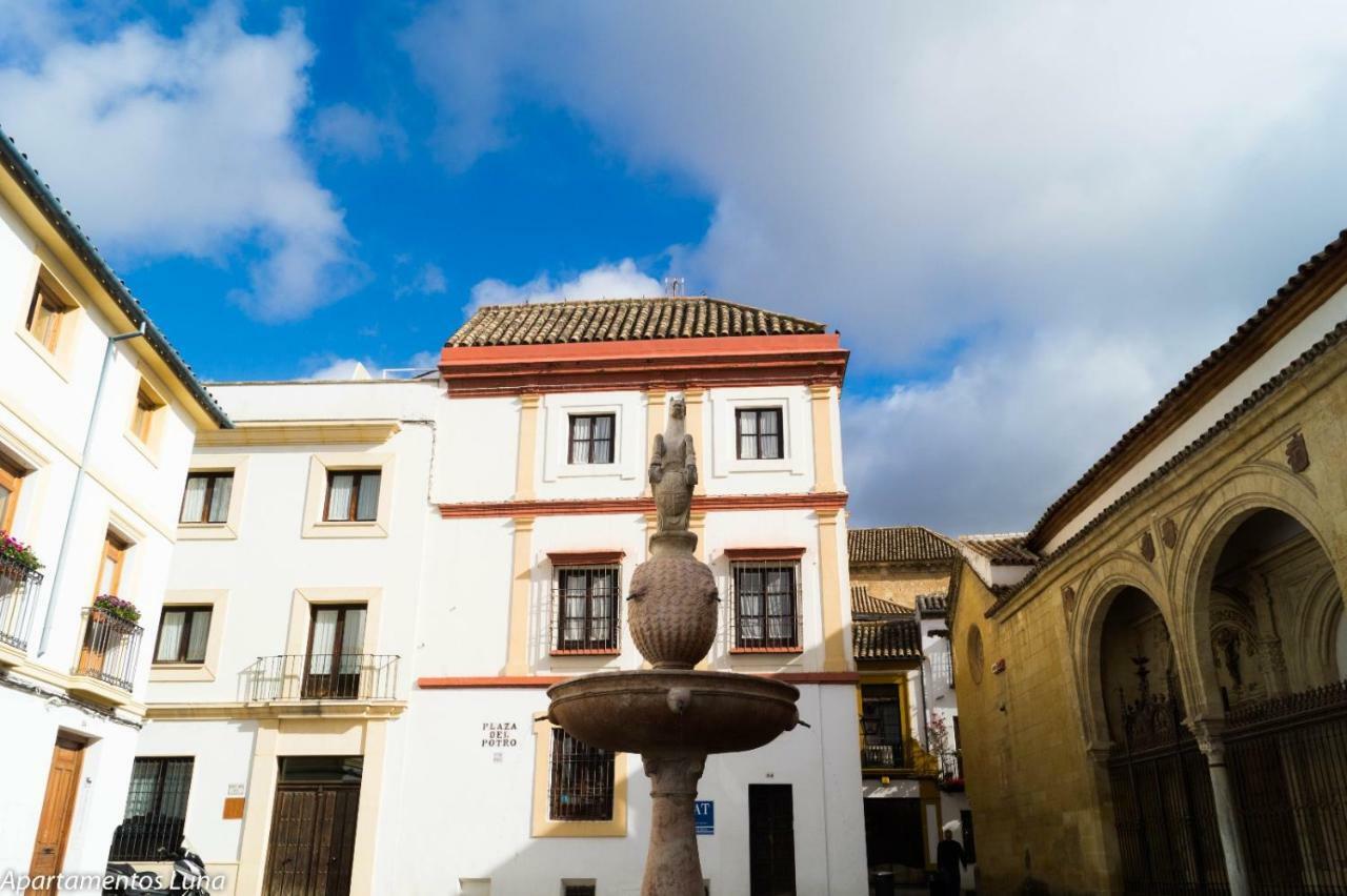 Viviendas Turisticas LA LUNA 2 Córdoba Exterior foto